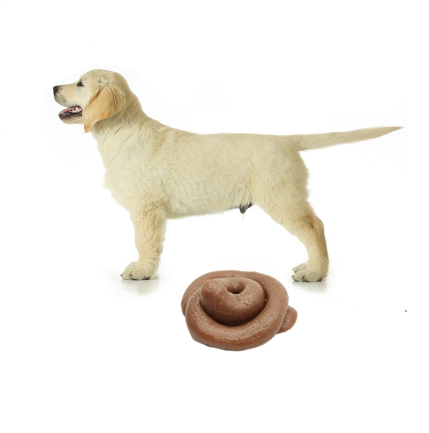 Fake Poop Gag Gift - Забавная игрушка-антистресс в виде какашки -
