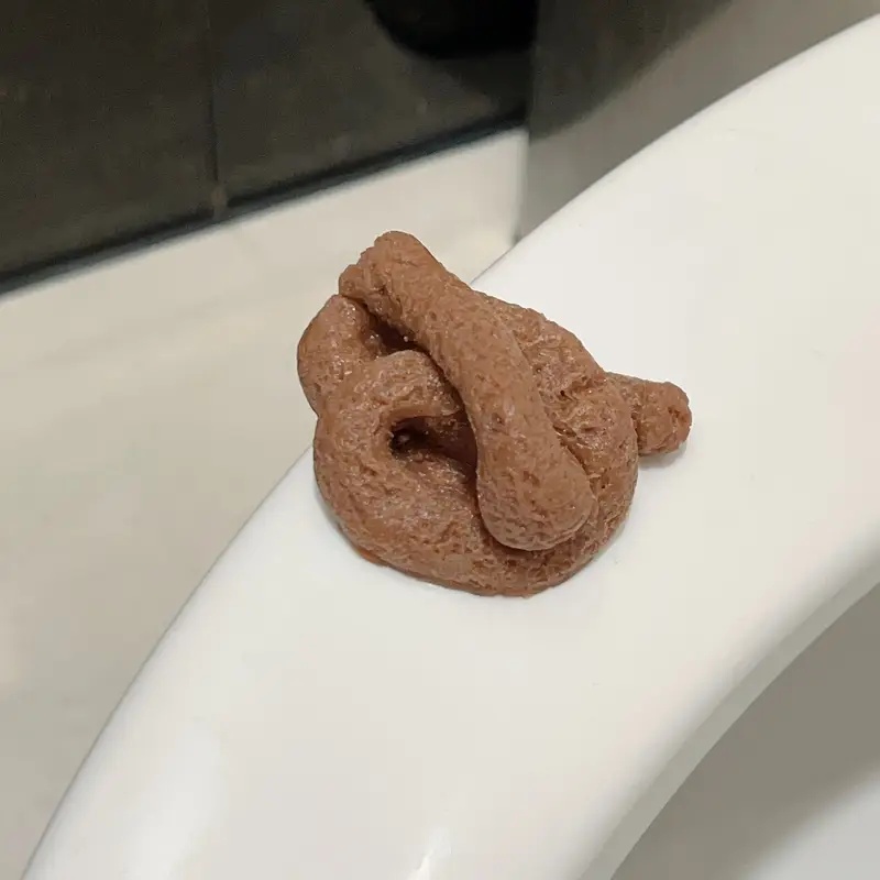 Реалистичная плавающая игрушка – обзор и цена Fake Poop Gag Gift