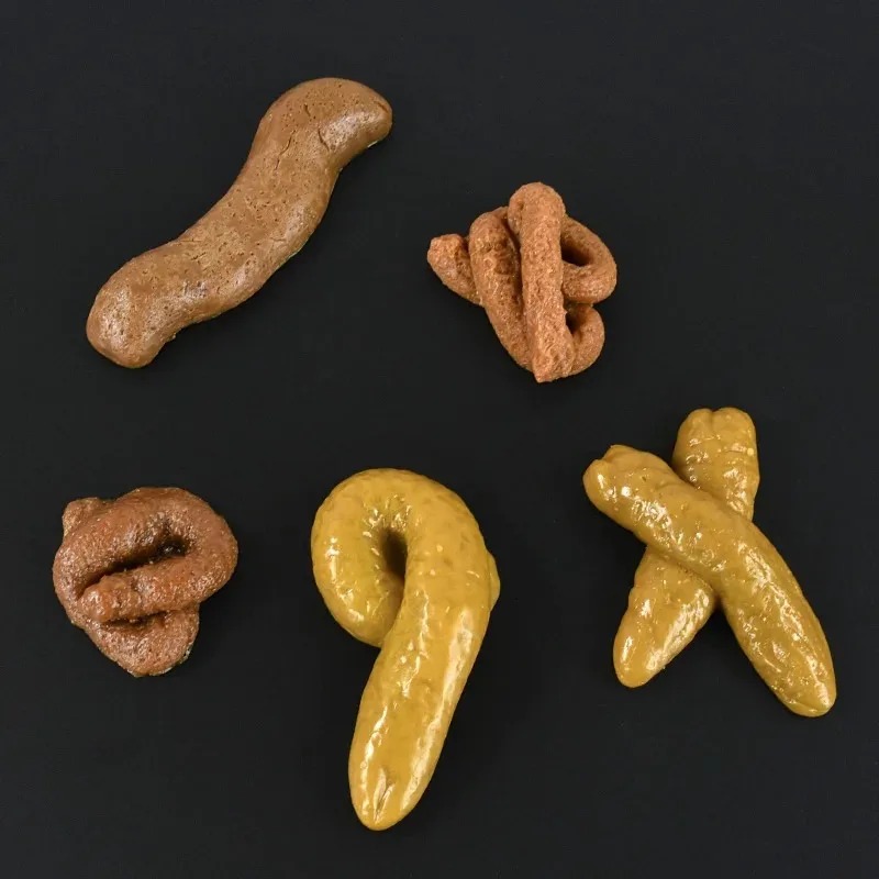 Реалистичный, безопасный и мяг – обзор и цена Fake Poop Gag Gift
